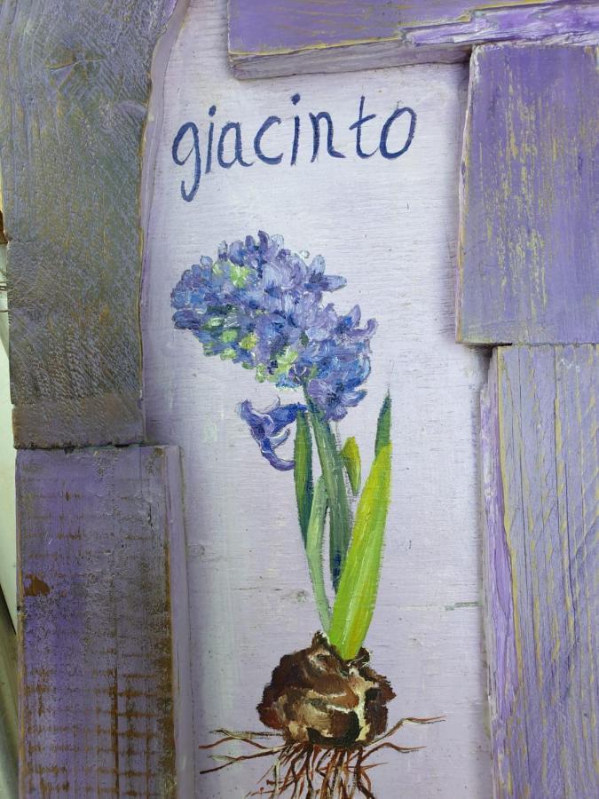 B & B La Primavera Pergola Exterior photo